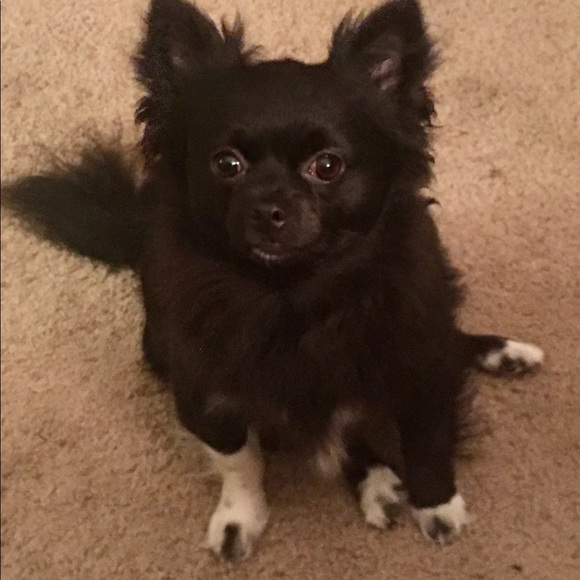 Meet your Posher, Freya EightyEight - Picture 9 of 16